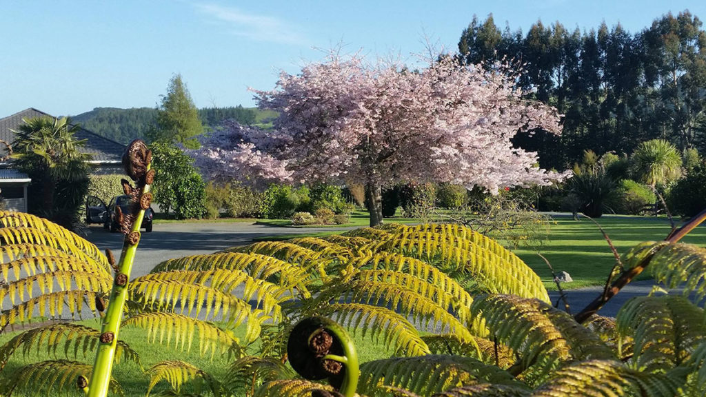 Rotorua Funeral Home