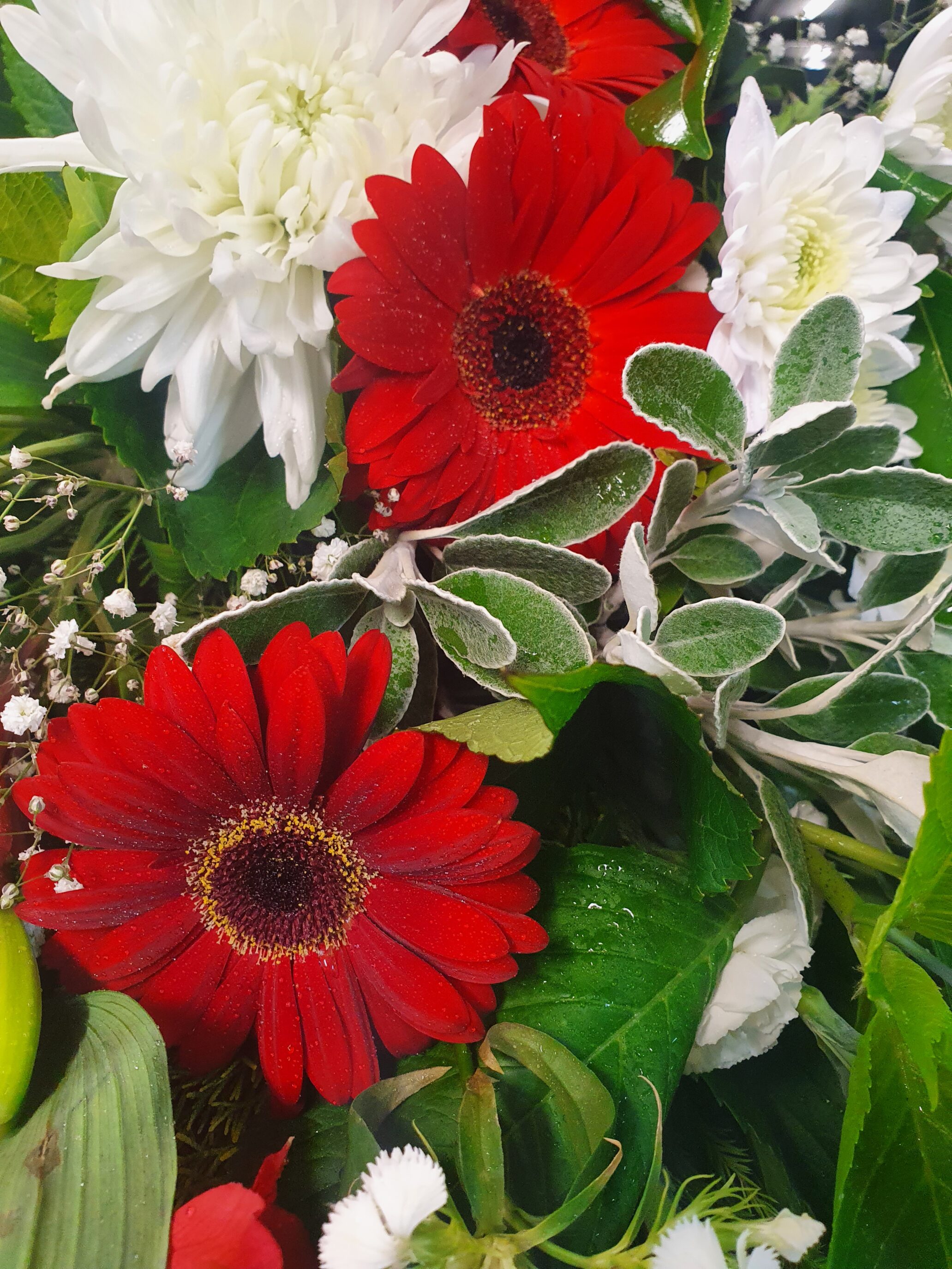 Flowers Wendy