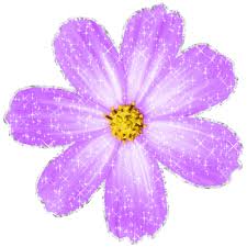 Purple Flower