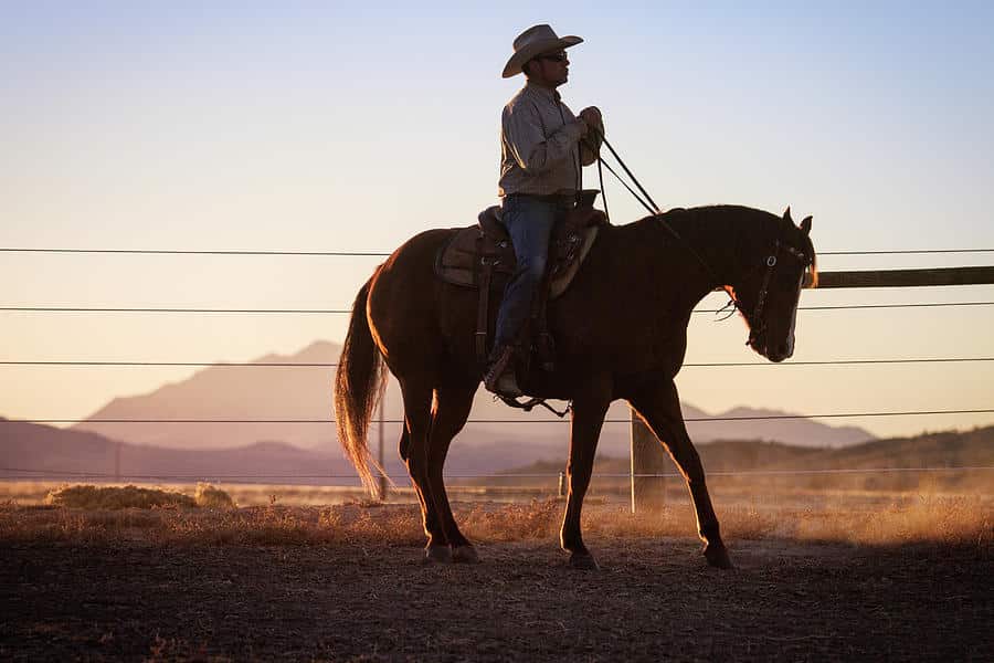 Man On A Horse